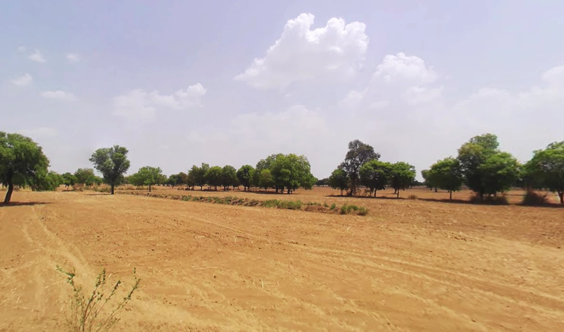 Rewari, Haryana 123401, India