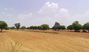 Rewari, Haryana 123401, India preview 3