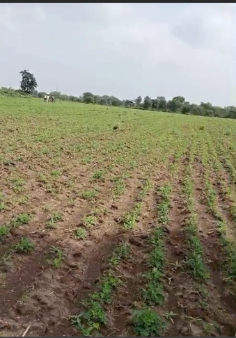 Bilhari, Chhatarpur, Madhya Pradesh 471525, India preview 3