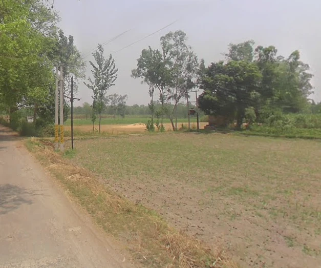Sardhana, Uttar Pradesh 250342, India