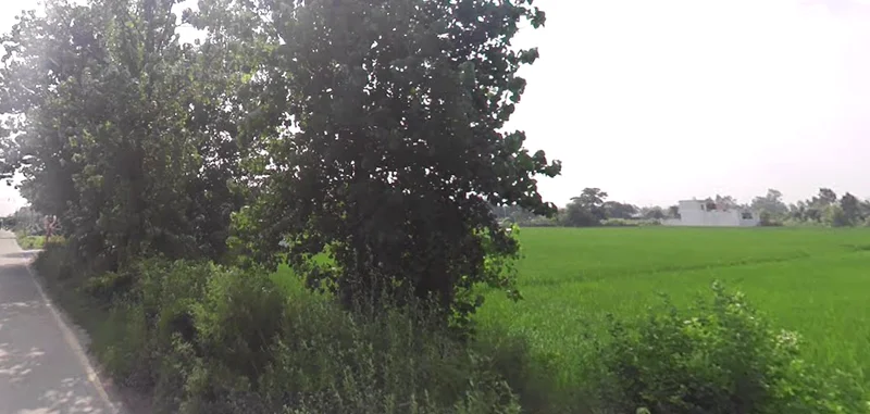 Janipur, Uttar Pradesh 247129, India preview 2