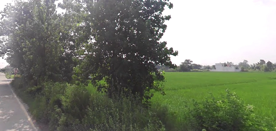 Janipur, Uttar Pradesh 247129, India