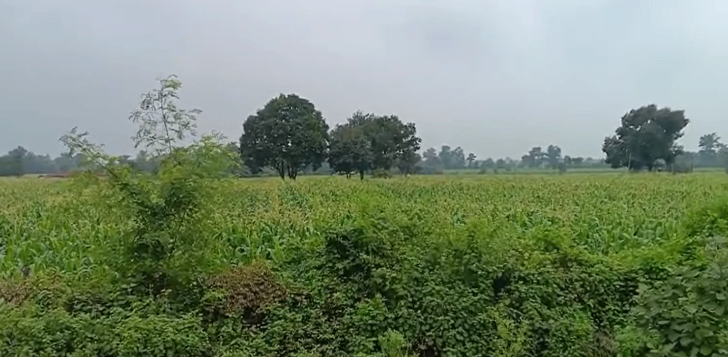 2R8M+VFR, Indore, Barodiya Khan, Madhya Pradesh 453551, India