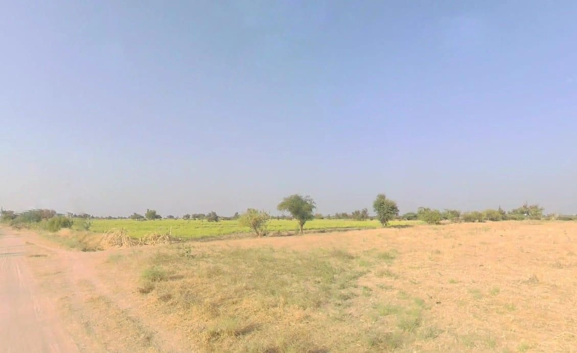 V5VM+4G7, Bandai, Rajasthan 306421, India