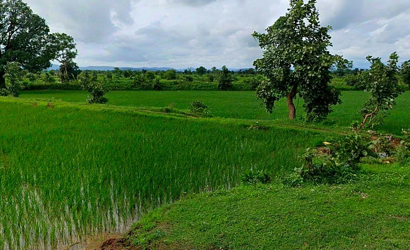 Ahiwara, Chhattisgarh, India preview 3