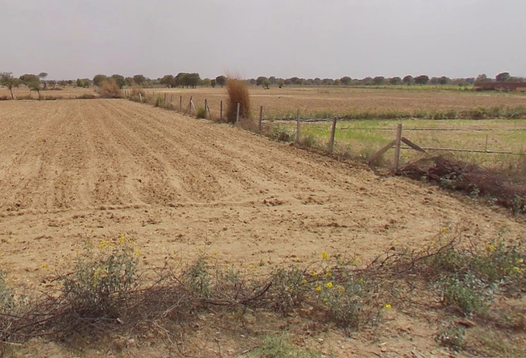 Salera, Rajasthan, India