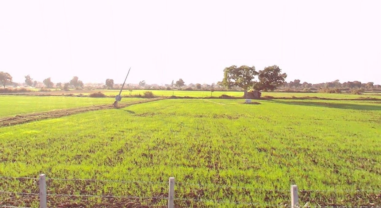 Jhurjhuru, Madhya Pradesh, India