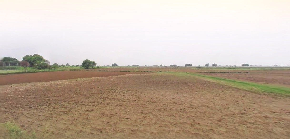 Bazpur, Uttarakhand 262401, India