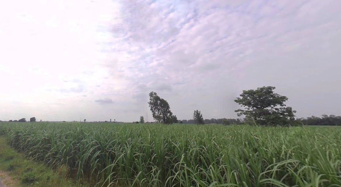 Sadarpur, Uttar Pradesh 250401, India