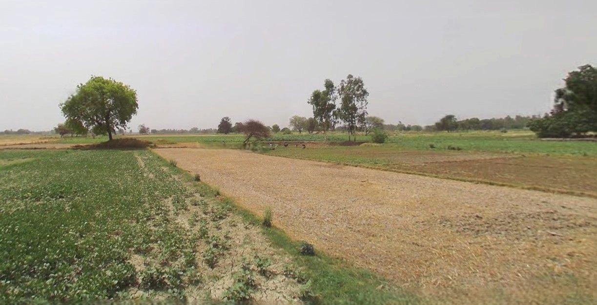 3W2Q+Q7X, Mazahidpur Satiwala Mazbata, Uttarakhand 247661, India