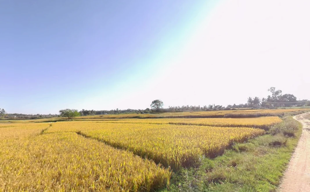 Hunsur, Karnataka, India