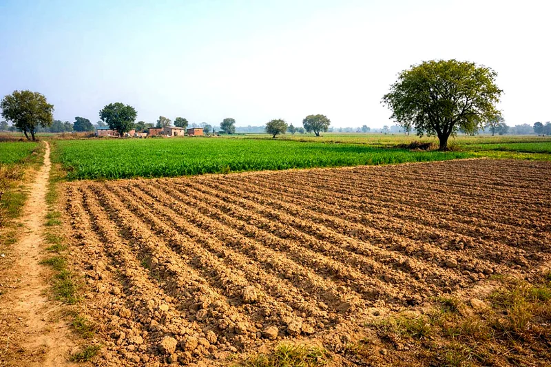 Darbarpur, Uttar Pradesh 246733, India preview 3