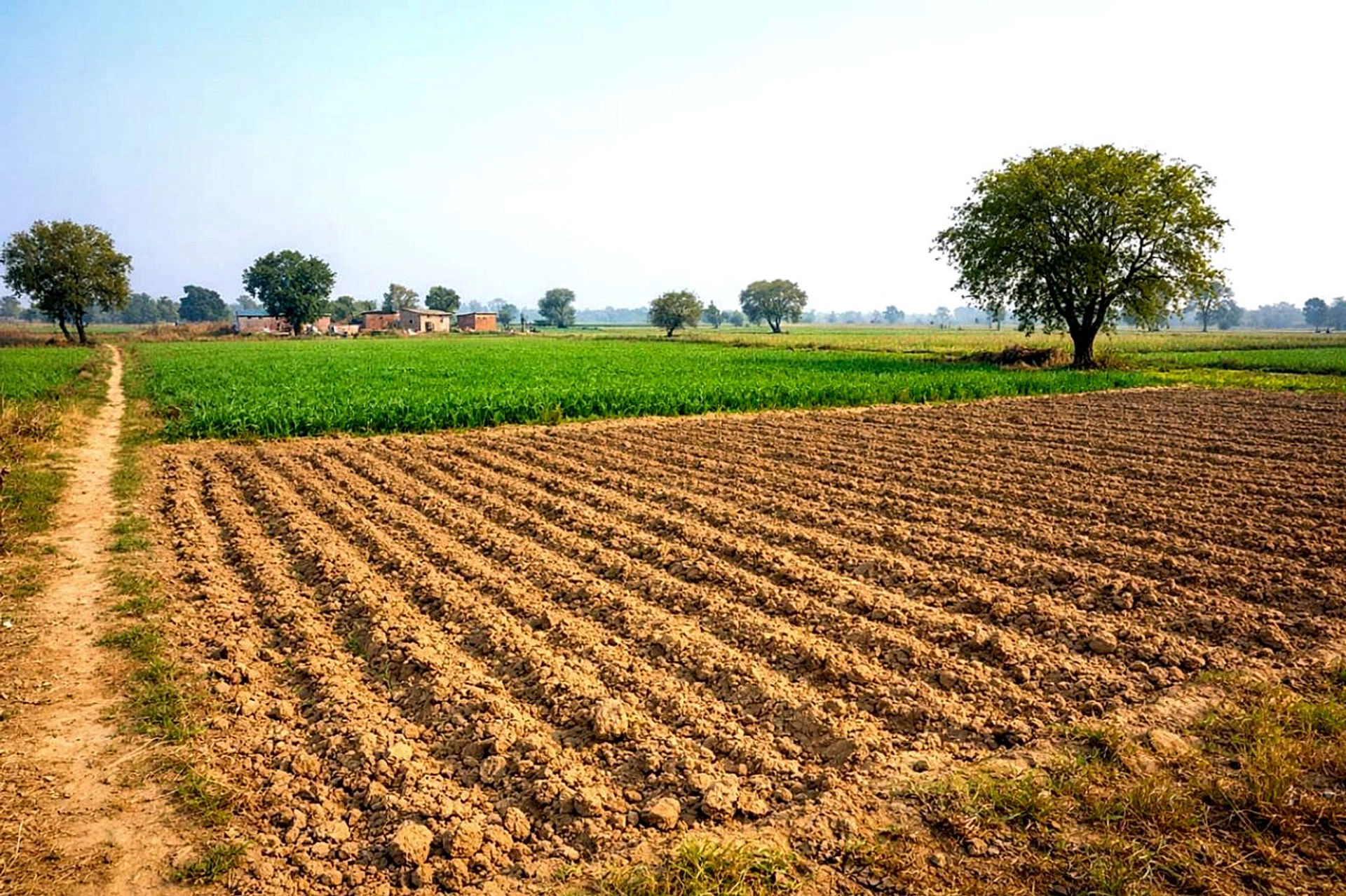 Darbarpur, Uttar Pradesh 246733, India