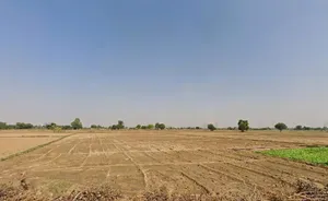 Kotkasim, Rajasthan 301702, India preview 3