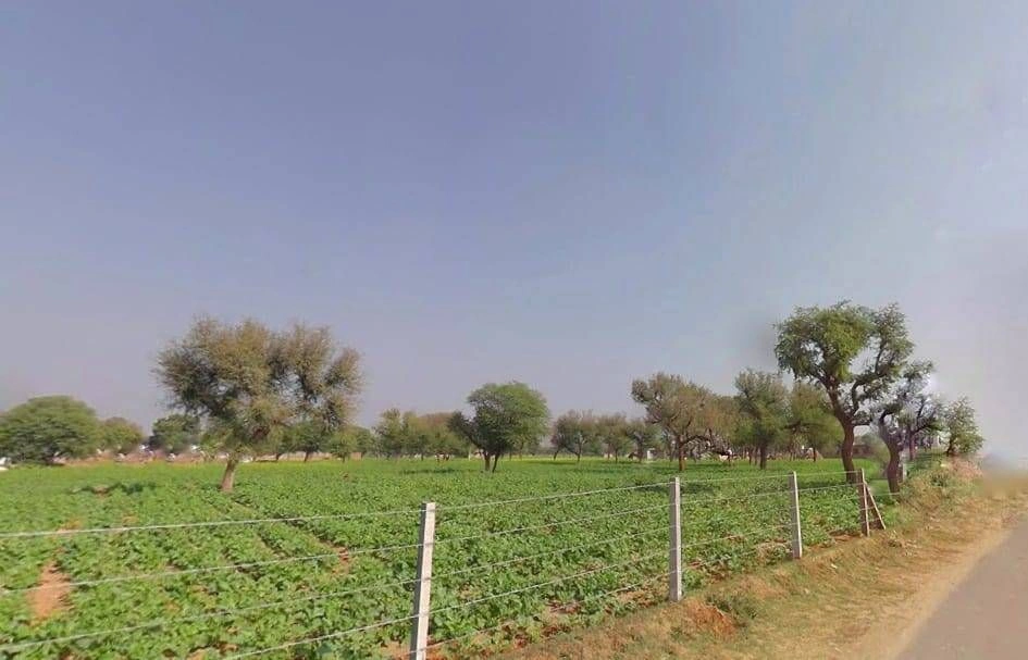 Shahpura, Rajasthan 303103, India