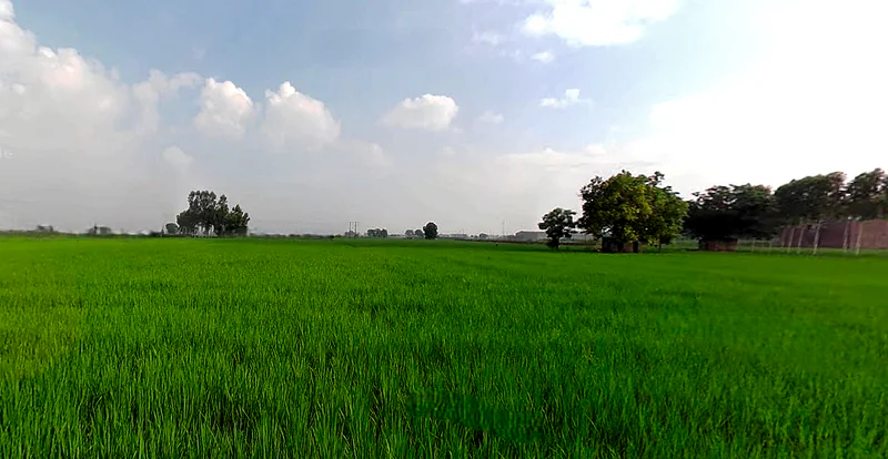 RHGC+759, Morinda Rd, Kurali, Punjab 140103, India preview 3