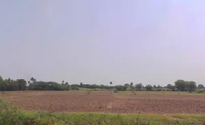 Diggi, Rajasthan 304504, India preview 2