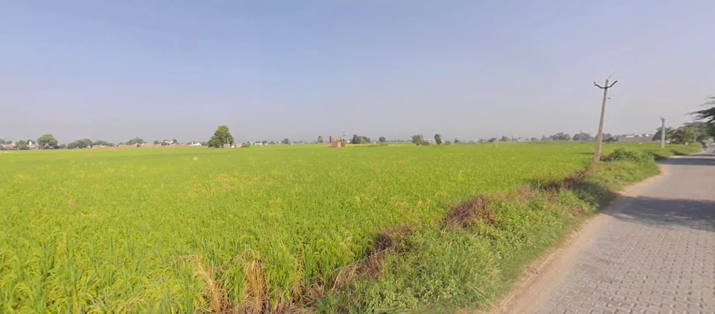 Rania, Haryana 125076, India