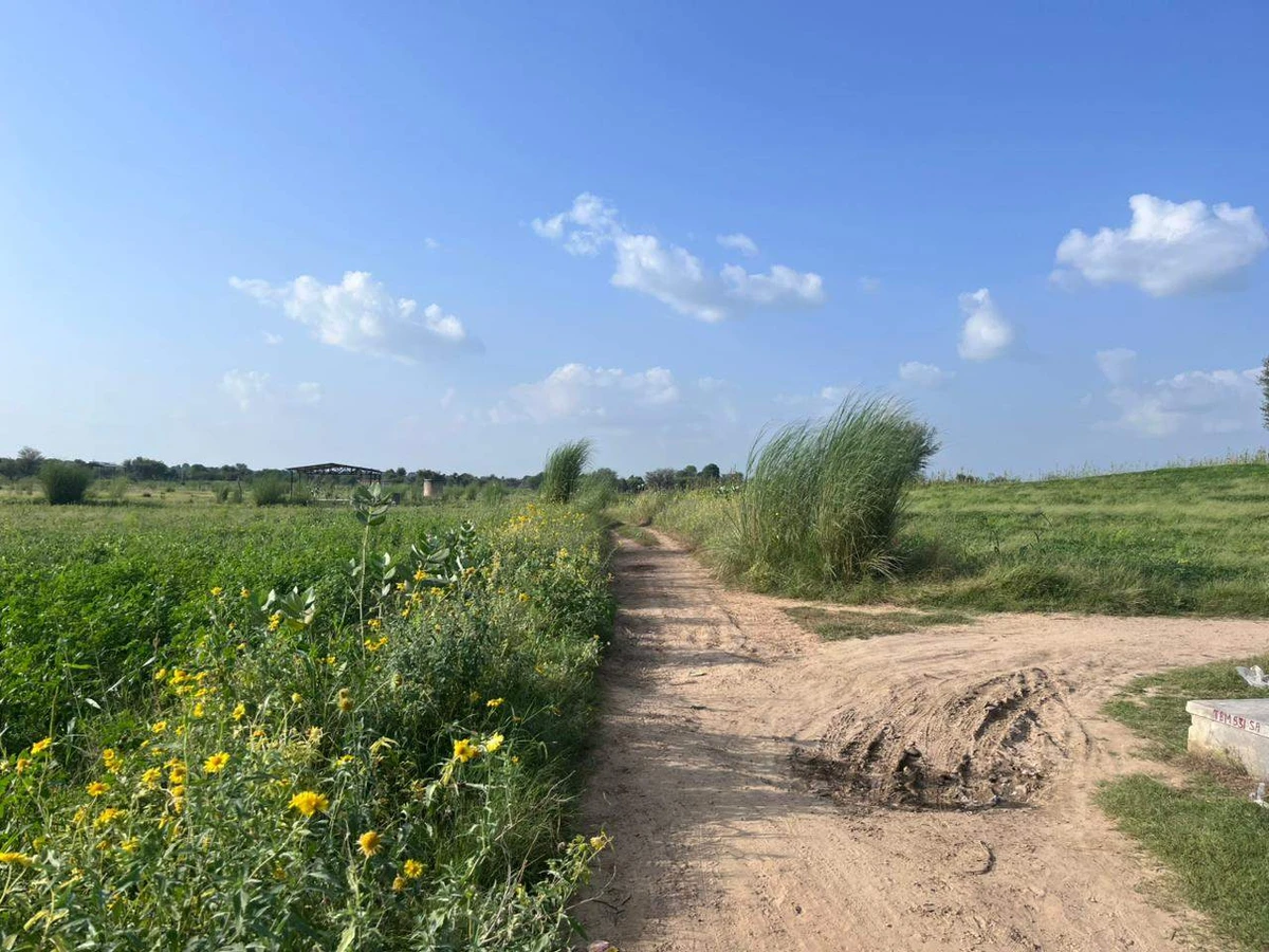 WH3F+G74, Khedaro Ki Dhani, Rajasthan 333022, India