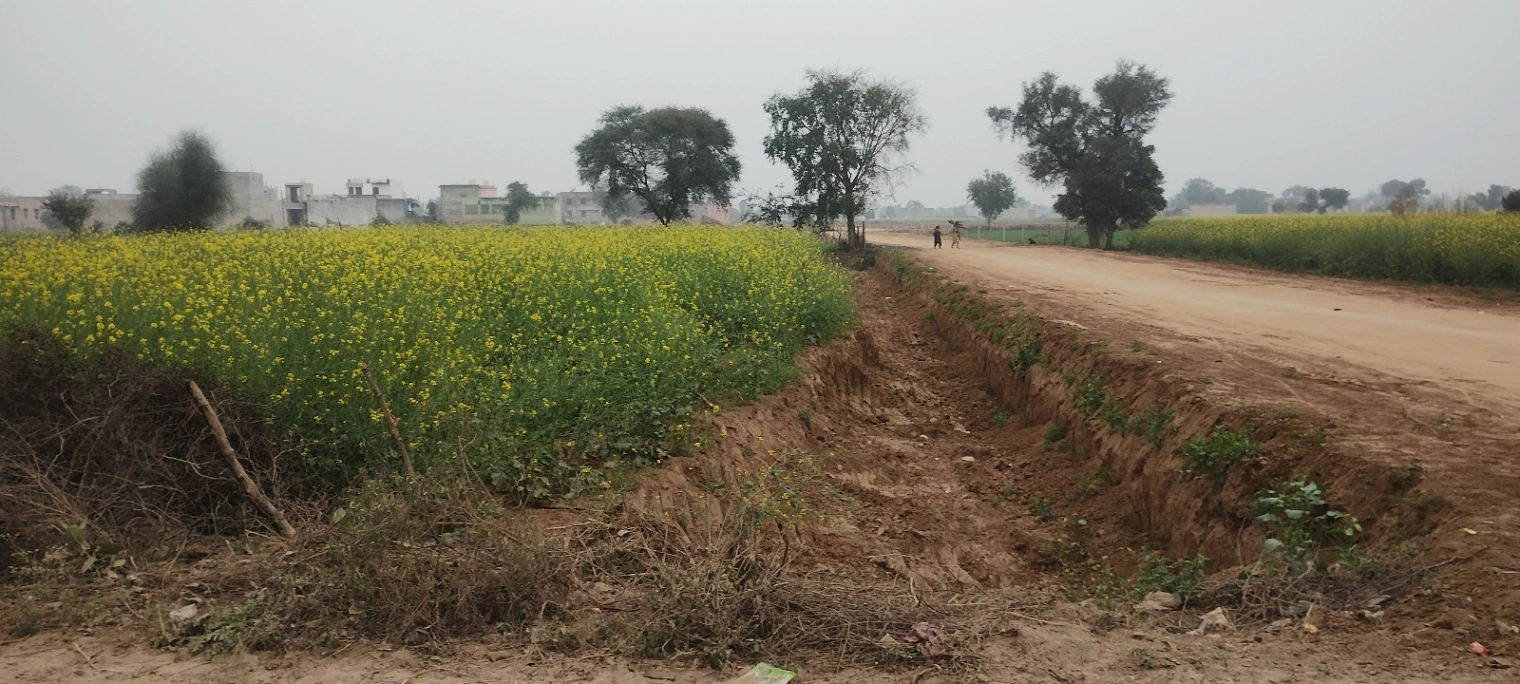 Poonchhari Ka Lautha, Rajasthan, India