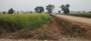 Poonchhari Ka Lautha, Rajasthan, India preview 2