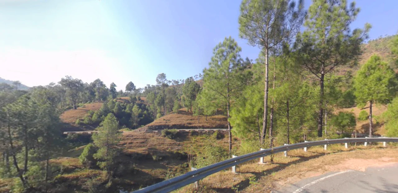 Tani, Uttarakhand 263643, India preview 3