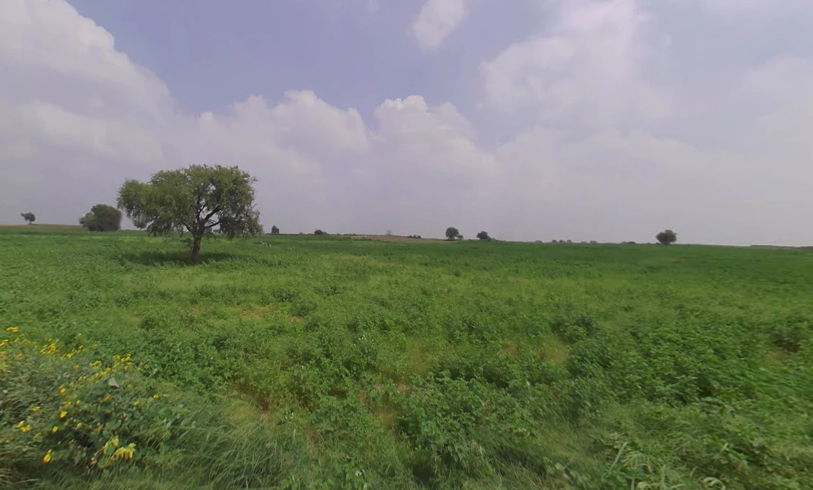 Tosham, Haryana 127040, India