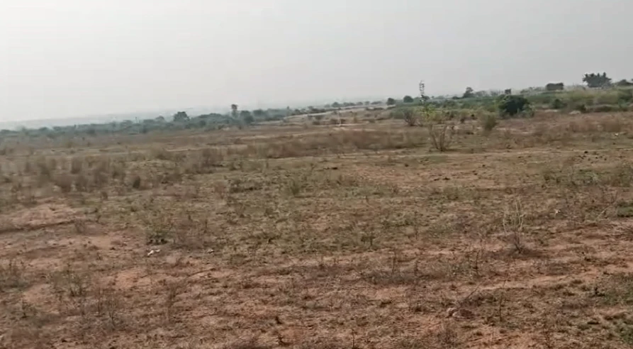 Bambora, Rajasthan 301405, India