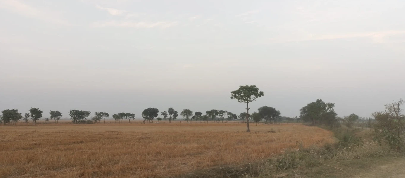 Sikandrabad, Uttar Pradesh 203205, India