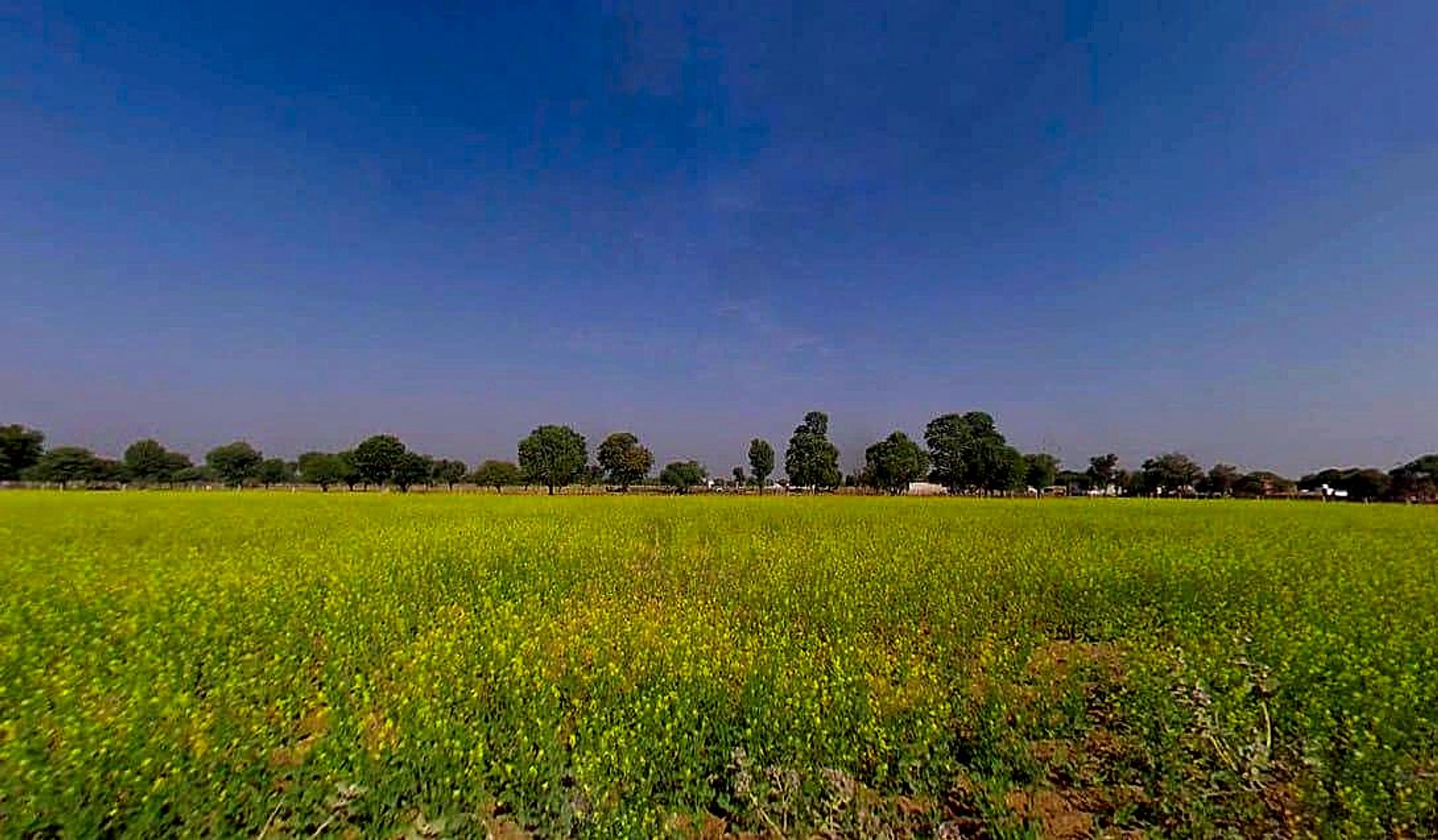 Ganeshpura, Rajasthan 303904, India