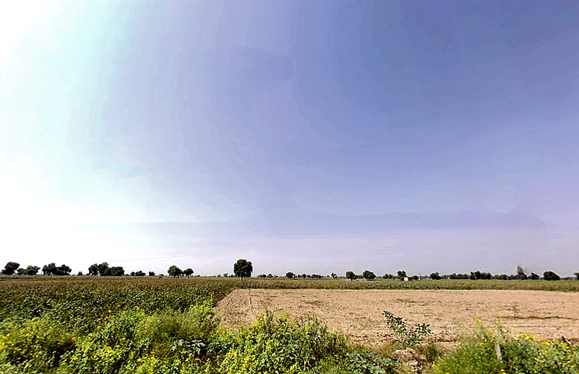 Naiwala, Haryana 125075, India