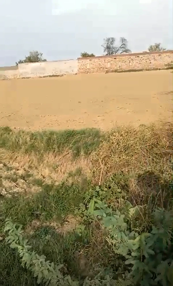 Q765+MMJ, Jangaon, Raghunathapally, Ibrahimpur, Telangana 506244, India