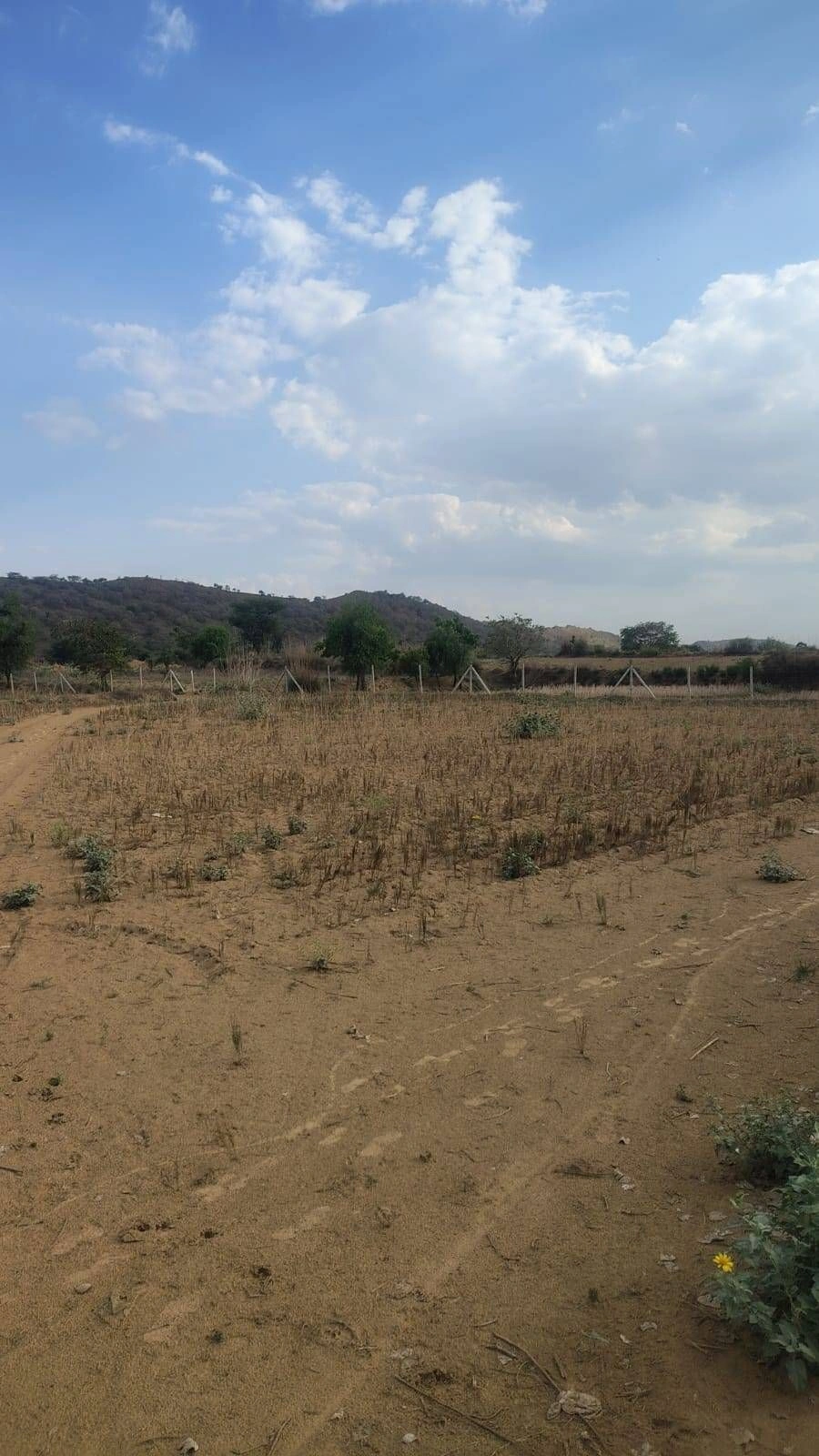 Pinan, Rajasthan, India preview 3
