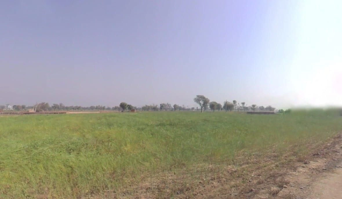 Pinan, Rajasthan, India