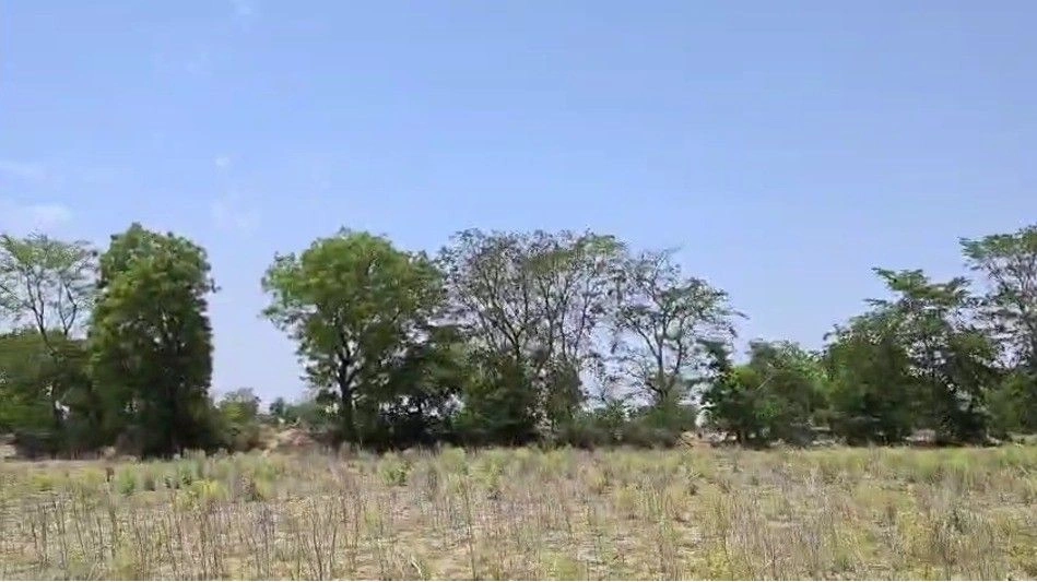 Mant, Uttar Pradesh 281202, India preview 2
