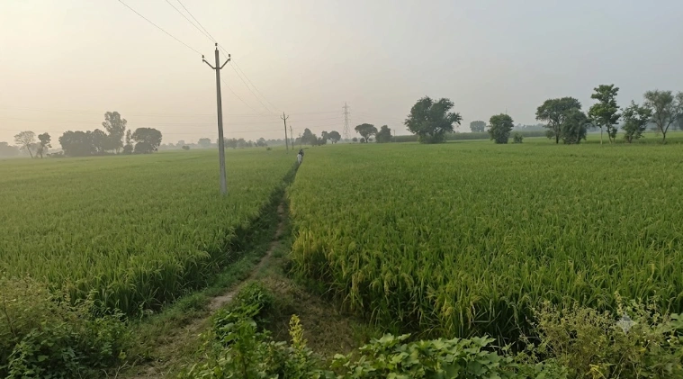Naraina, Rajasthan 303348, India