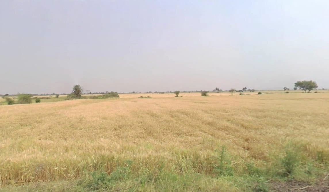 Sultanganj, Madhya Pradesh, India