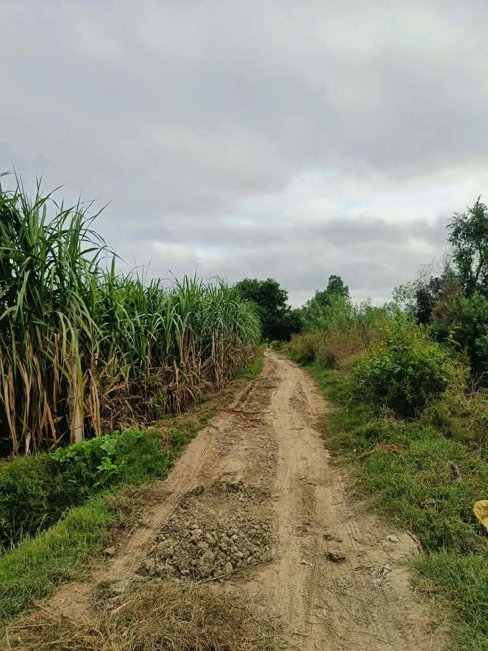 Bheema, Mathura, Uttar Pradesh 281204, India