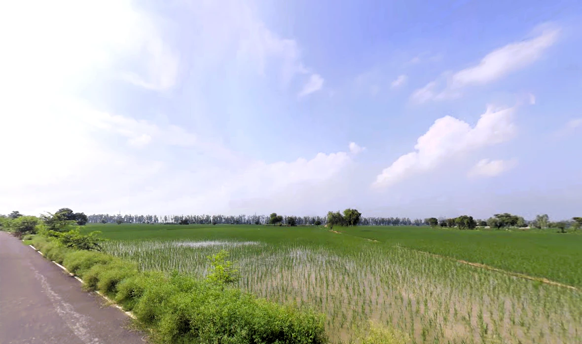 Alewa, Haryana 126111, India