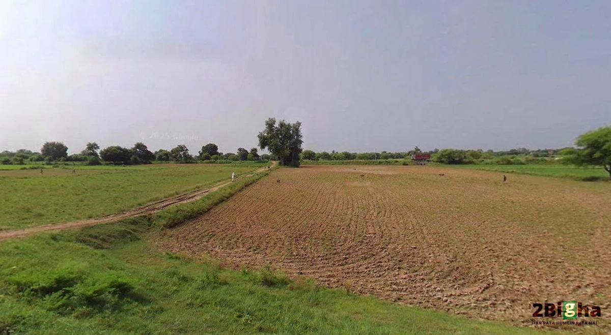 Ladwa, Haryana 136132, India