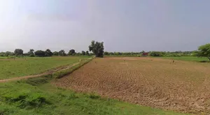 Ladwa, Haryana 136132, India preview 3