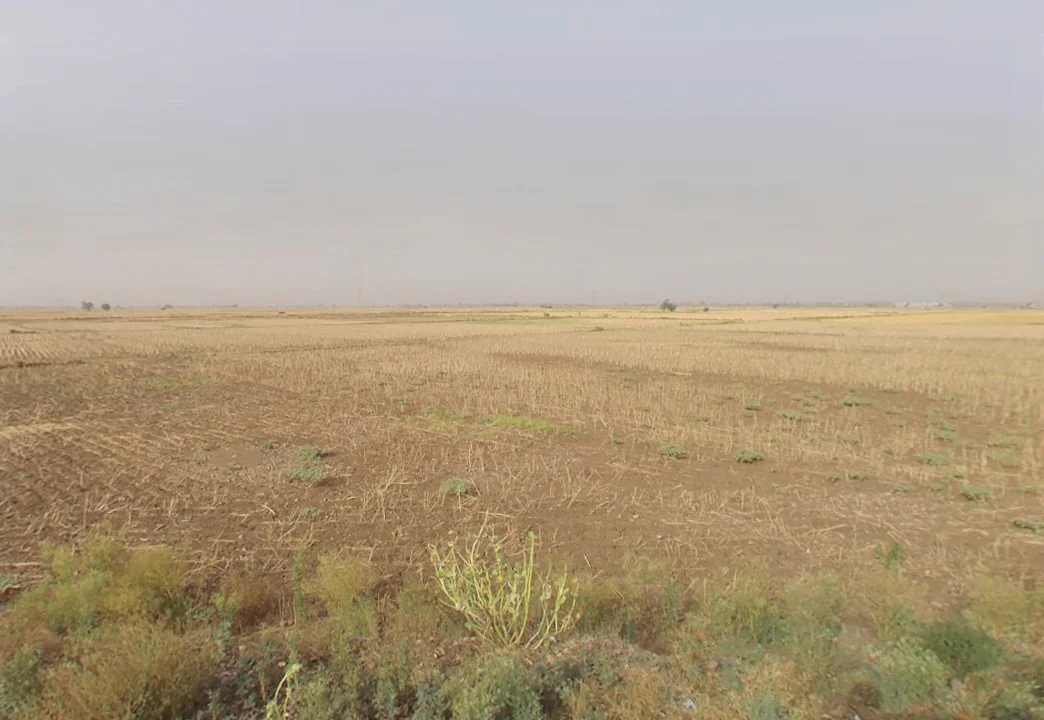 Siwari, Haryana, India preview 3