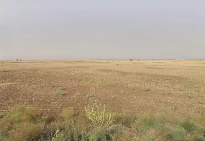Siwari, Haryana, India preview 3