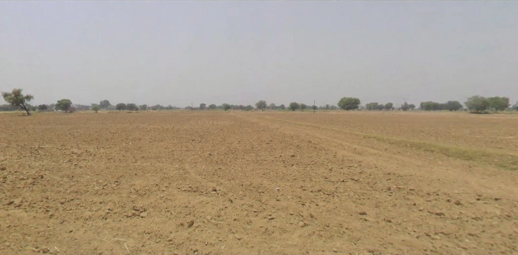 Sehsaula, Haryana, India