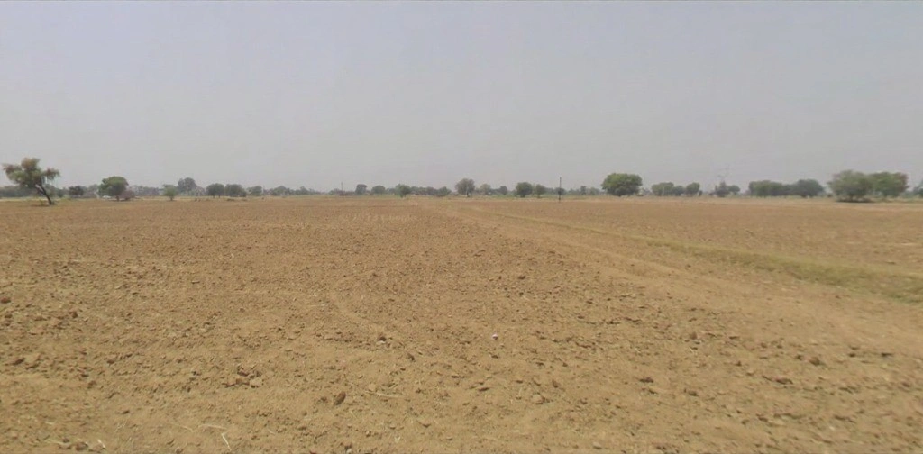 Sehsaula, Haryana, India