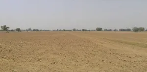 Sehsaula, Haryana, India preview 2