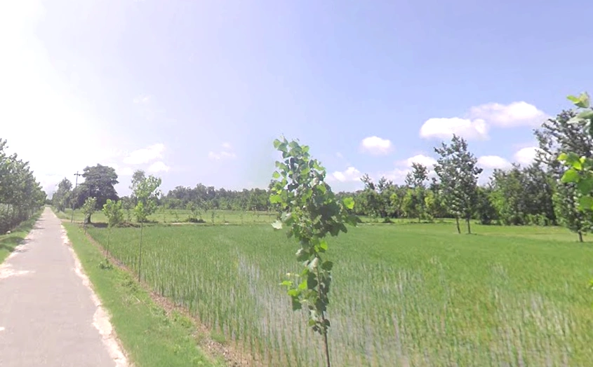 Maheshwari khurd, Uttar Pradesh 247120, India