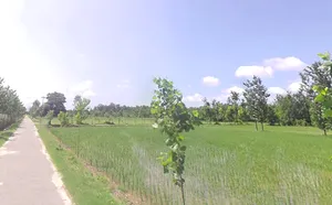 Maheshwari khurd, Uttar Pradesh 247120, India preview 2