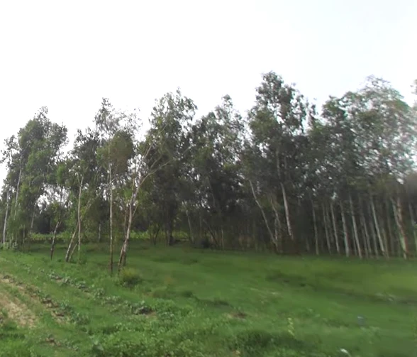 Satpura, Uttar Pradesh 247129, India