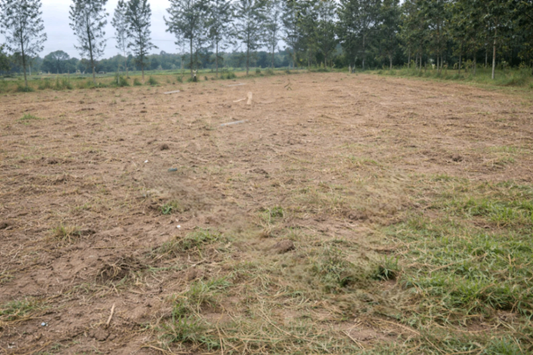 5C6P+8G Kukkanahalli, Karnataka, India